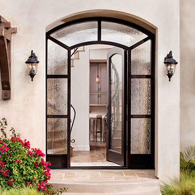 iron french double door with arched top and 1-lite glass