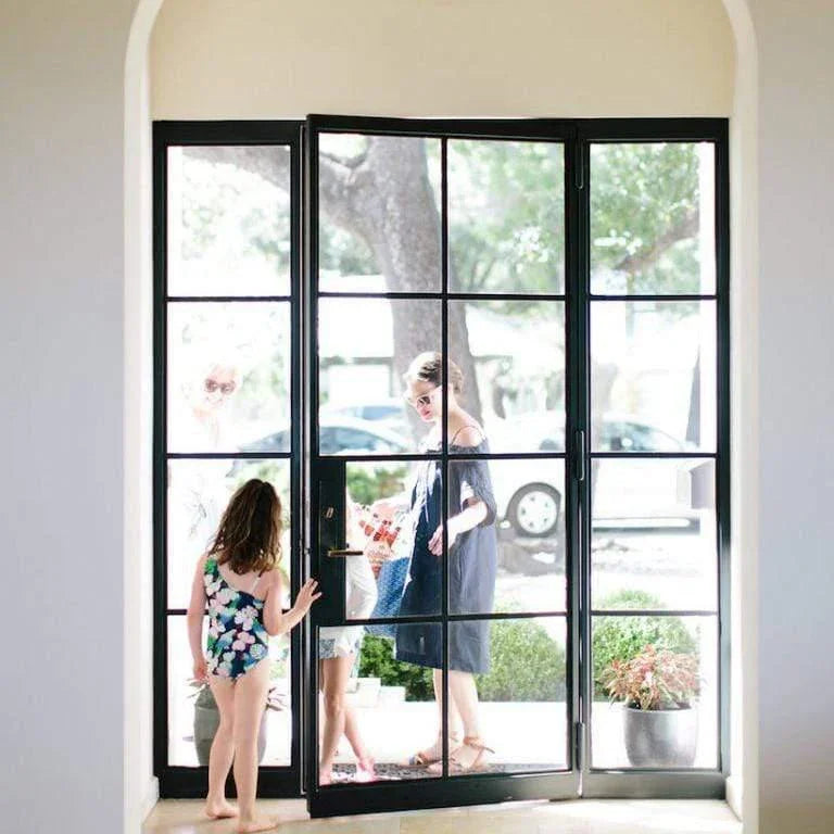 IWD Minimalist Forged Iron French Single Entry Door CIFD-S0302 Dual Pane Clear Glass with Double Narrow Sidelights 8-Lite 